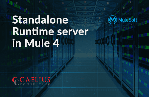 Standalone Runtime server in Mule 4